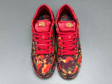 The Wizard of Oz x Dunk Low SB Poppy Field