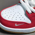 Nike Sb Dunk Low Pro QS
