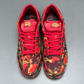 The Wizard of Oz x Dunk Low SB Poppy Field
