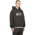 Essentials 1977 Hoodie Iron
